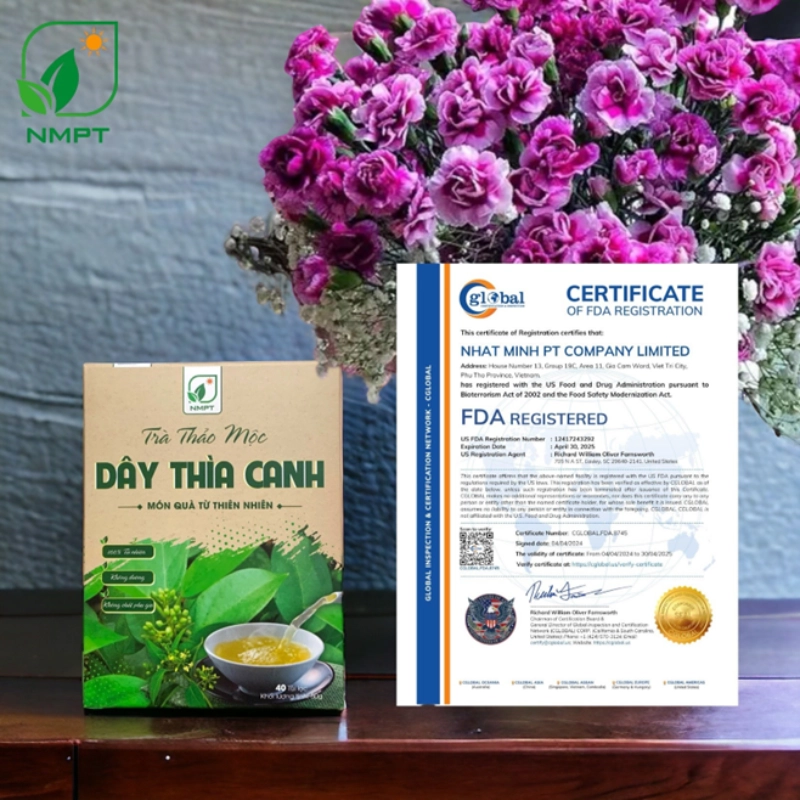 Trà thảo mộc dây thìa canh