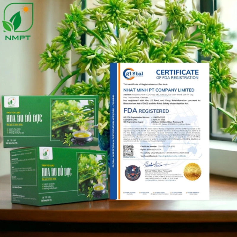 Trà hoa đu đủ đực