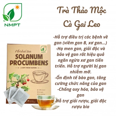 Trà cà gai leo