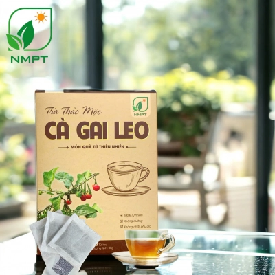 Trà cà gai leo
