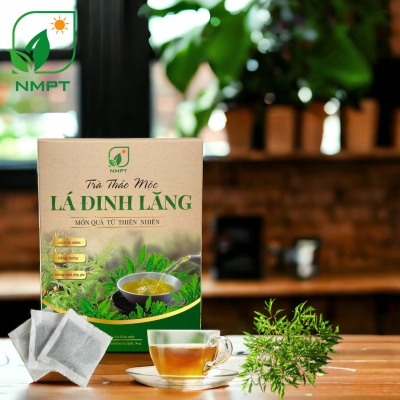 Trà thảo mộc lá đinh lăng