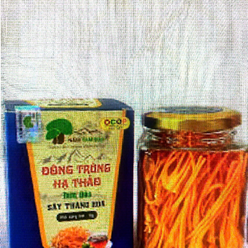 Đông trùng hạ thảo sấy thăng hoa